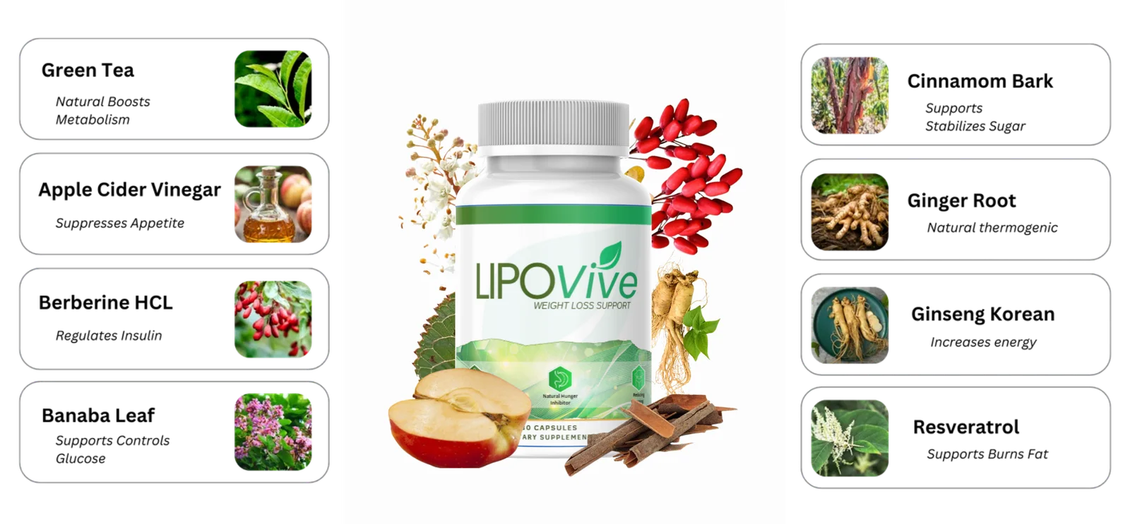 LipoVive Ingredients - Natural Weight Loss Formula